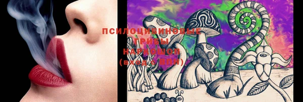 герыч Ладушкин