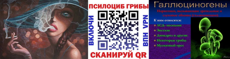 mega маркетплейс  Усмань  Галлюциногенные грибы Cubensis 